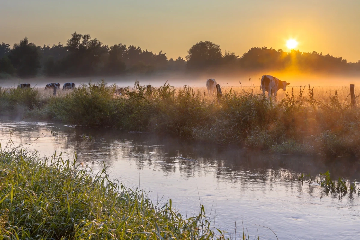 Impressie van Dinkelland in de ochtend