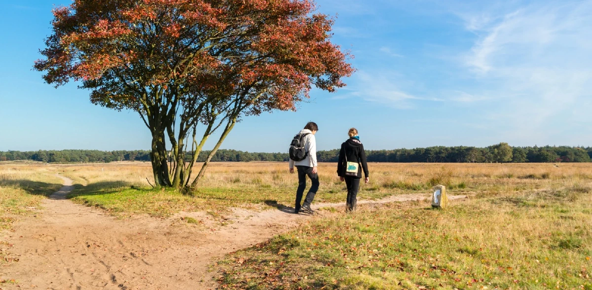 Zicht op de heide rondom Hilversum