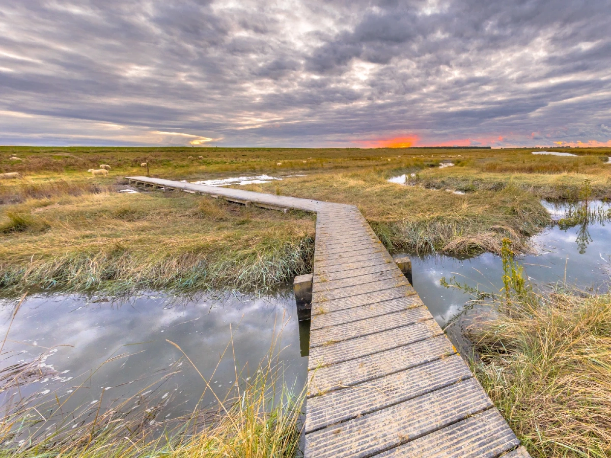Impressie van omgeving Hulst