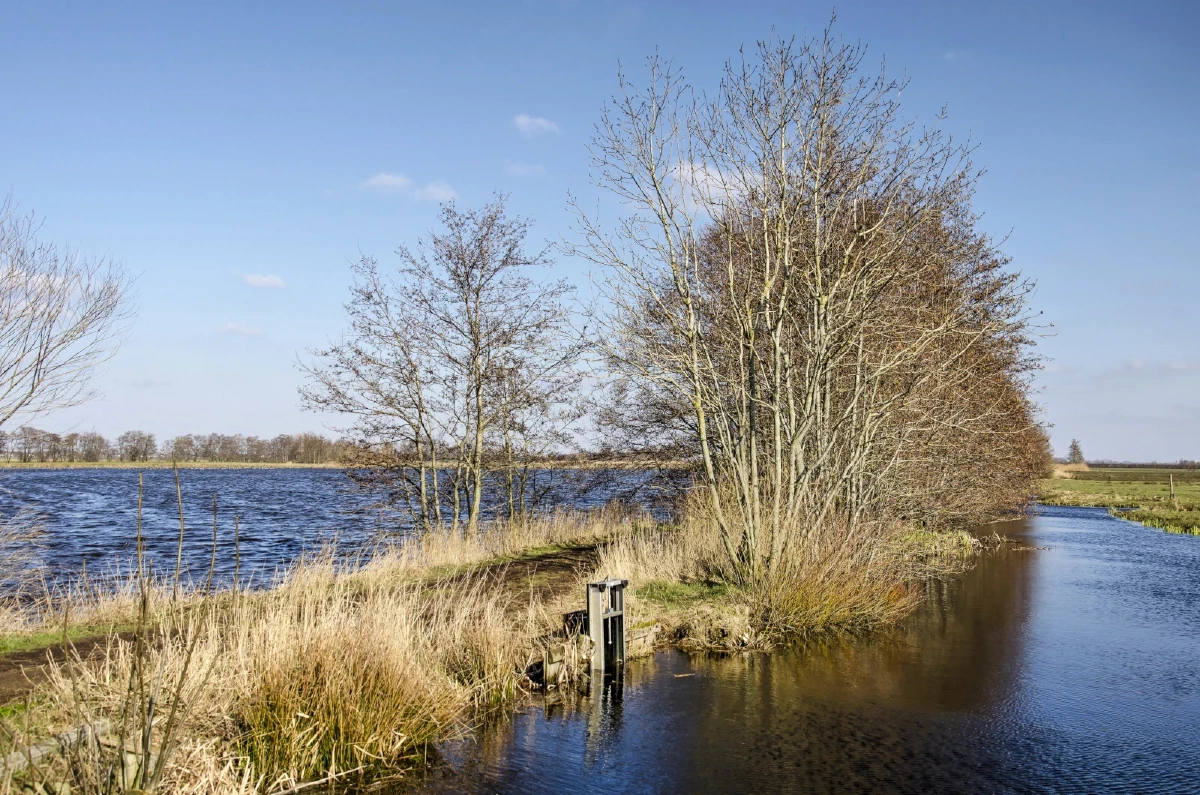 Impressie van omgeving Krimpenerwaard