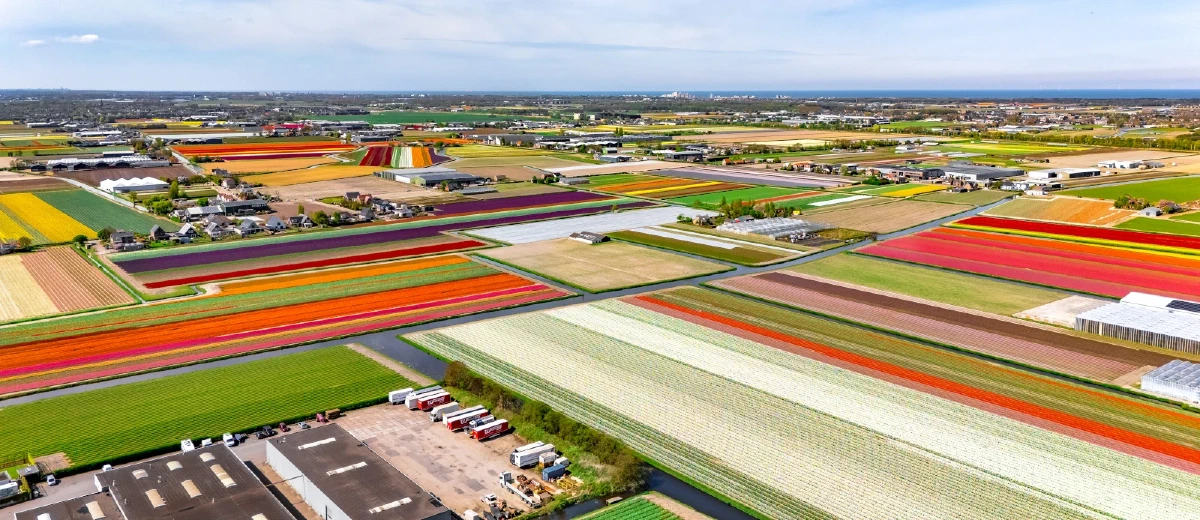Sfeerimpressie van de gemeente Lisse