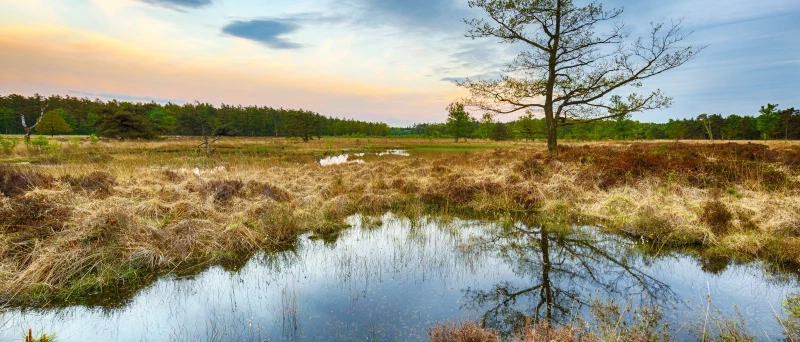 Karakteristieke omgeving in Midden-Drenthe