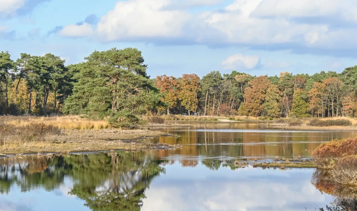 Sfeerbeeld van Waalre